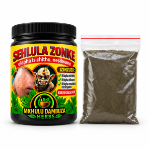 Sehlula Zonke